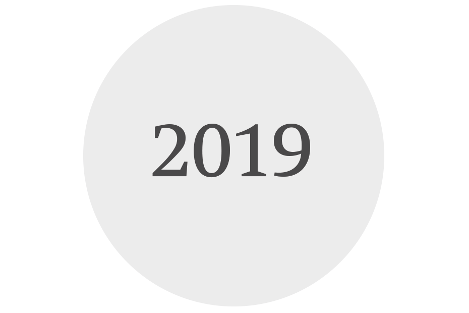 INS Jahresbericht 2019