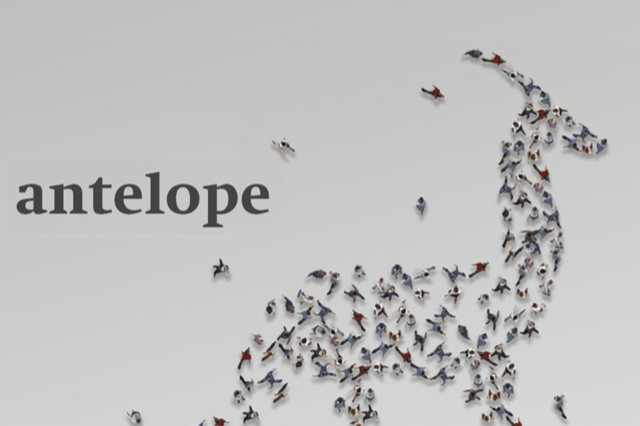 antelope