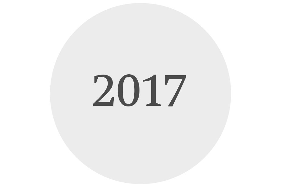 Jahresbericht2017